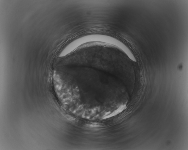 X0000116120467201001040954