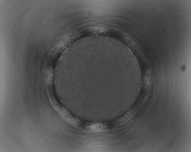 X0000116120468201001040954