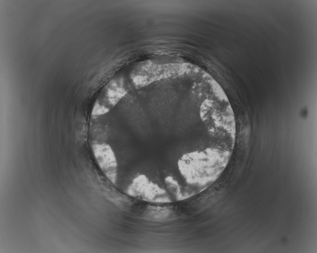 X0000116120469201001040954