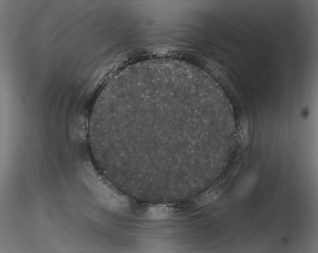 X0000116120470201001040954