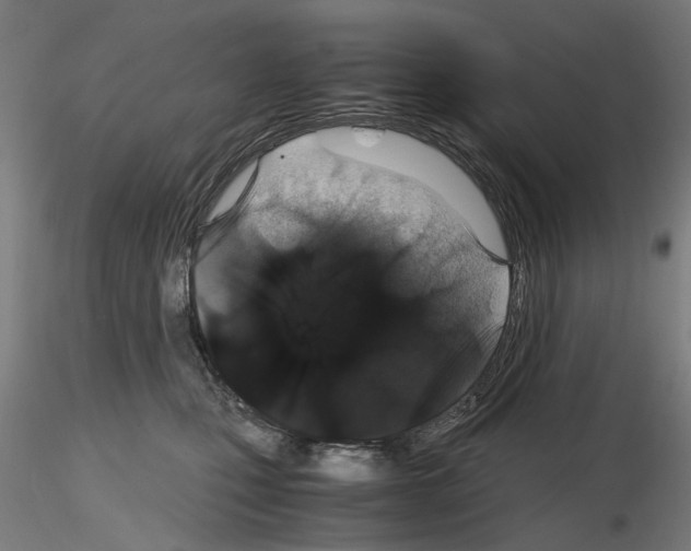 X0000116120471201001040954