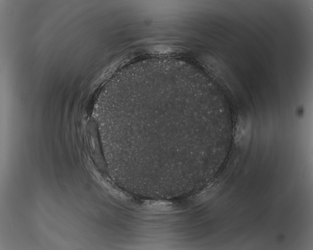 X0000116120476201001040954