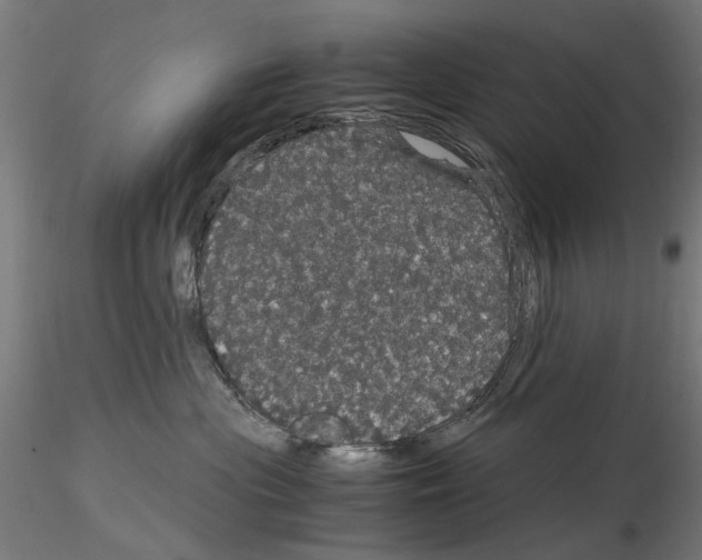 X0000116120477201001040954