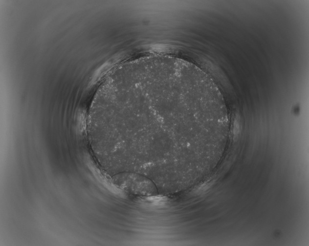 X0000116120478201001040954