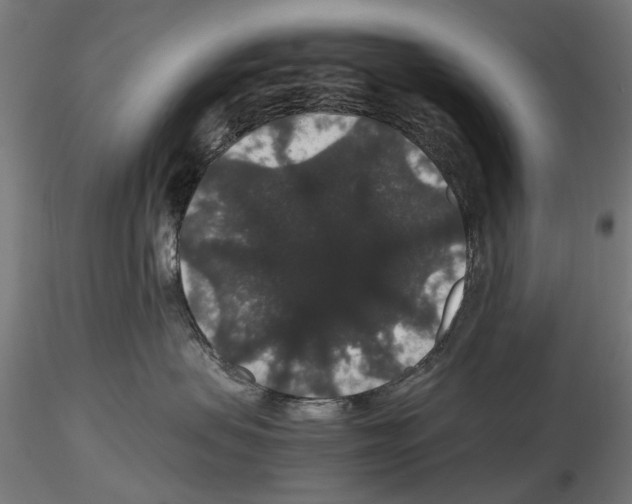 X0000116120479201001040954