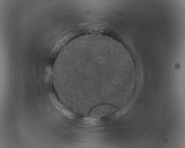 X0000116120480201001040954