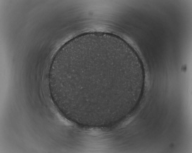 X0000116120481201001040953