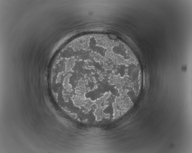 X0000116120483201001040953