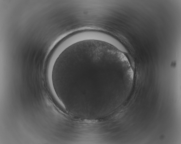 X0000116120484201001040953