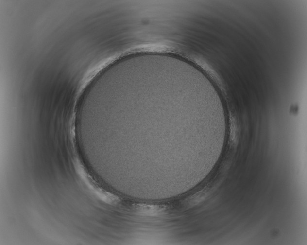 X0000116120486201001040953