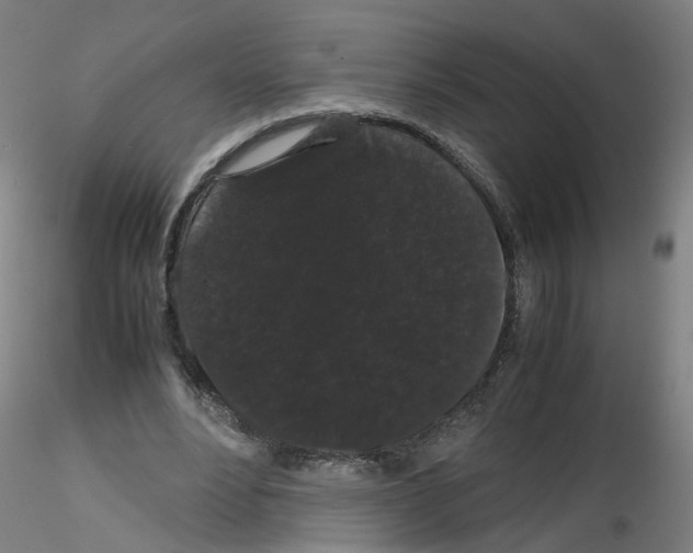 X0000116120488201001040953