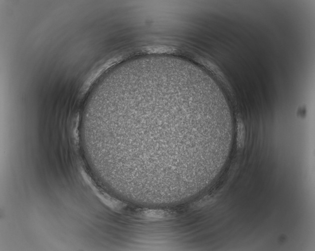X0000116120490201001040953