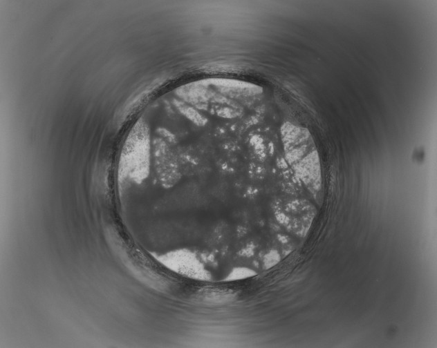 X0000116120491201001040953