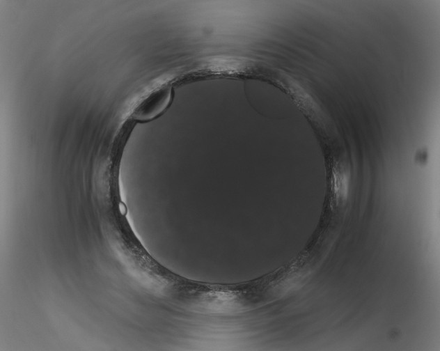 X0000116120492201001040953