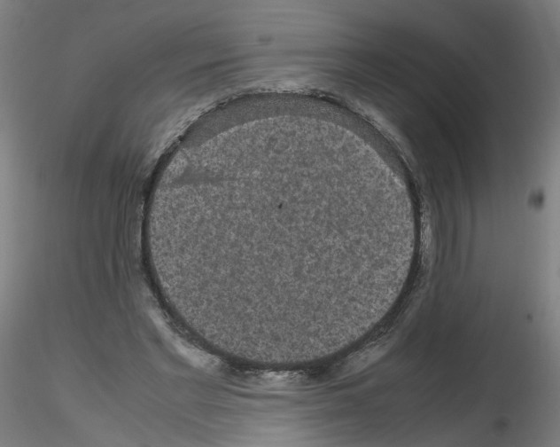 X0000116120493201001040953