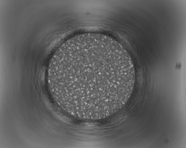 X0000116120495201001040953
