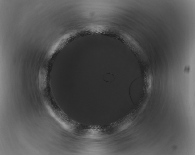 X0000116120496201001040953
