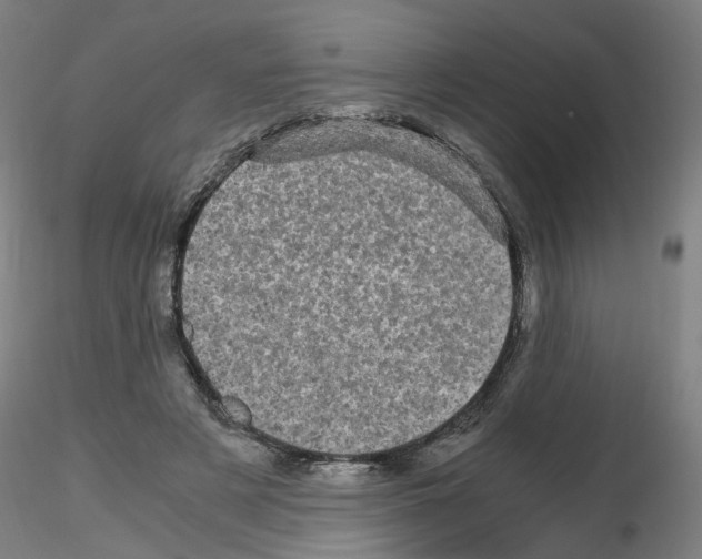X0000116120497201001040953