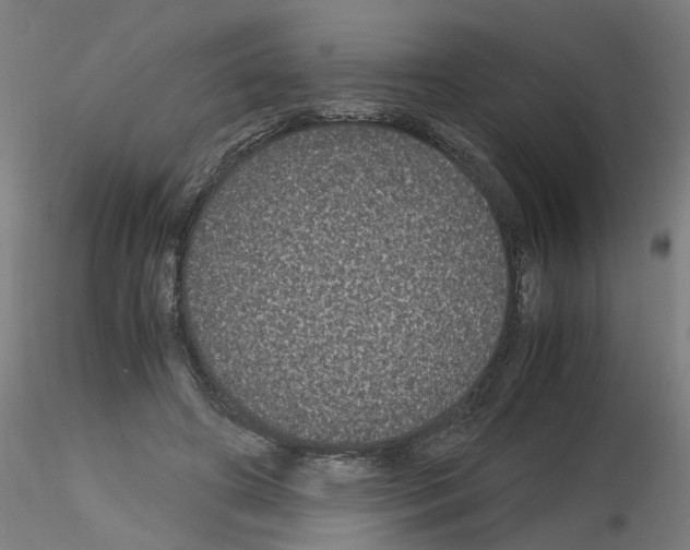 X0000116120498201001040953