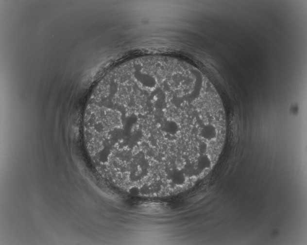 X0000116120499201001040953