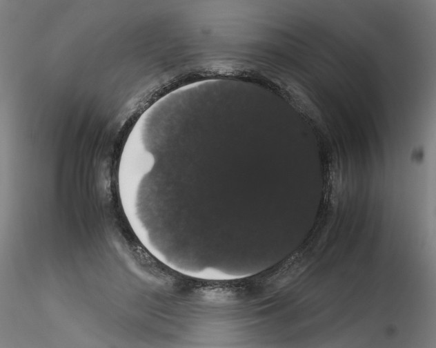 X0000116120500201001040953