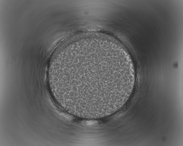 X0000116120501201001040953