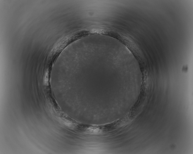 X0000116120502201001040953