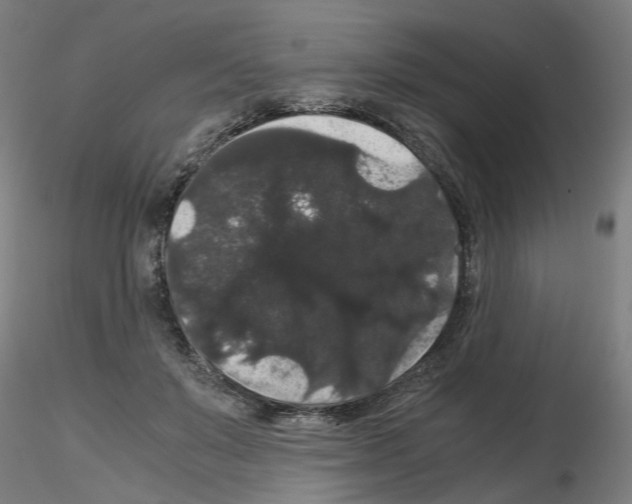X0000116120503201001040953