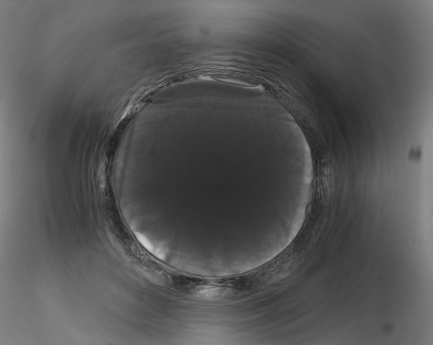 X0000116120504201001040953