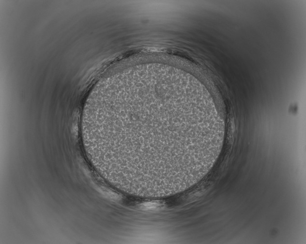 X0000116120505201001040953