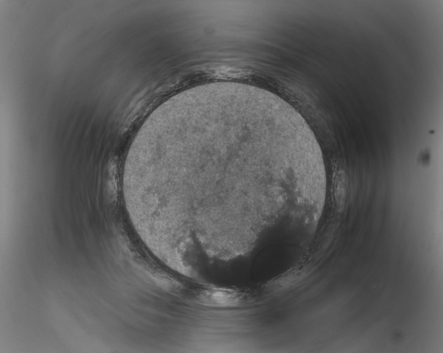 X0000116120506201001040953