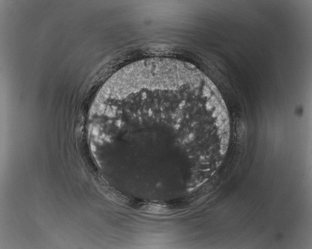 X0000116120507201001040953