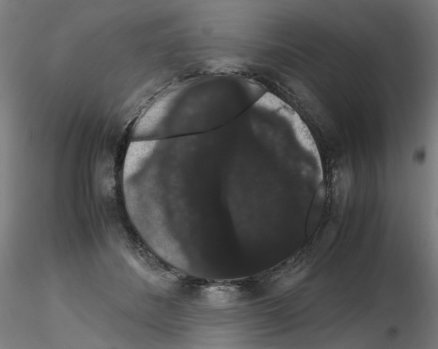 X0000116120508201001040953