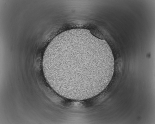 X0000116120509201001040953