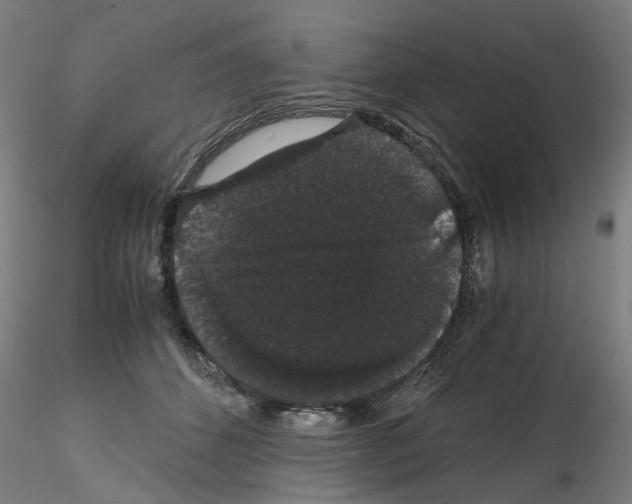 X0000116120512201001040953