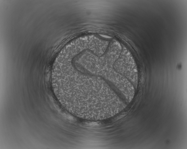 X0000116120513201001040953