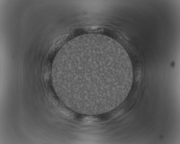 X0000116120515201001040953