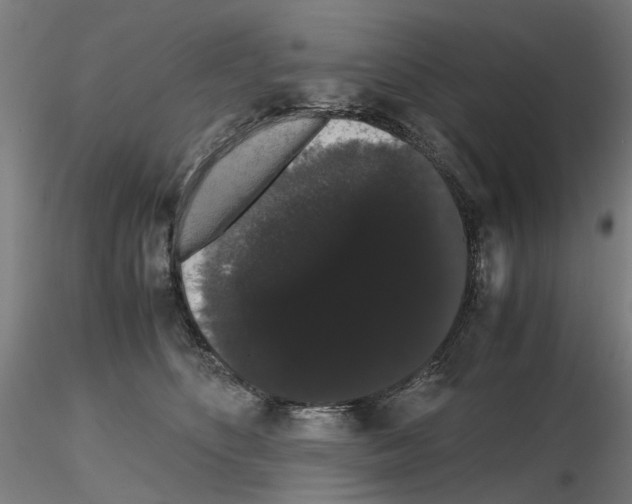 X0000116120516201001040953