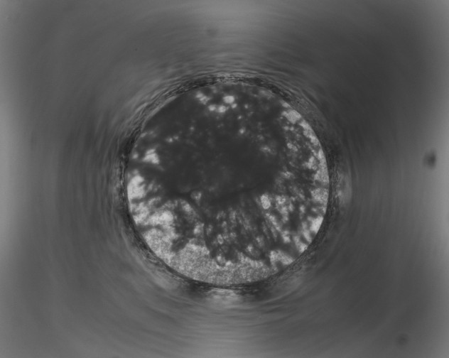 X0000116120519201001040953