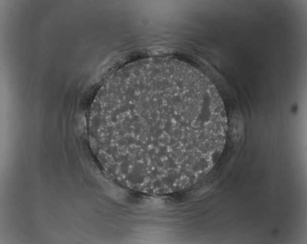 X0000116120523201001040953