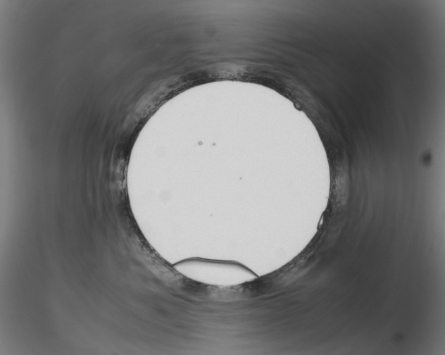 X0000116120525201001040953