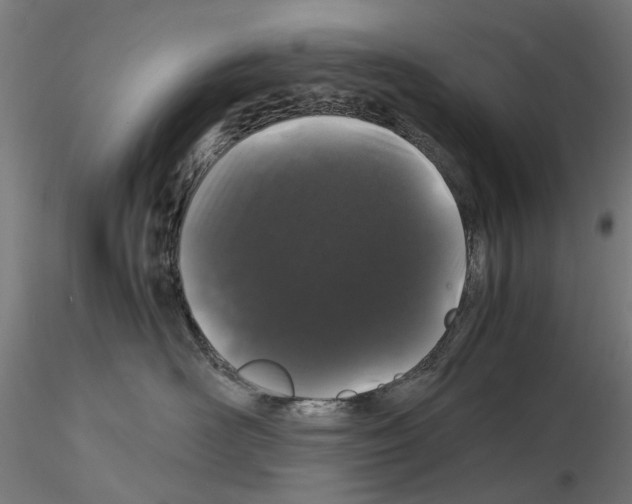 X0000116120526201001040953