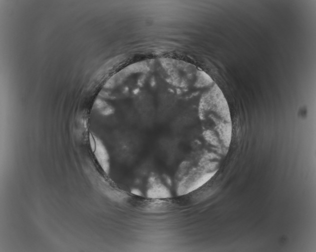 X0000116120527201001040953