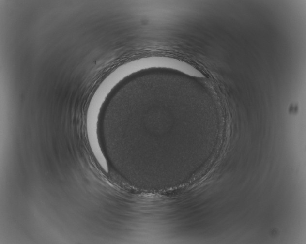 X0000116120528201001040953