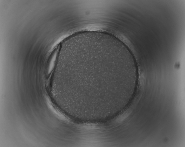 X0000116120530201001040952