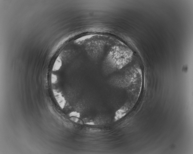 X0000116120531201001040952