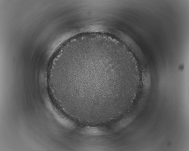 X0000116120534201001040952