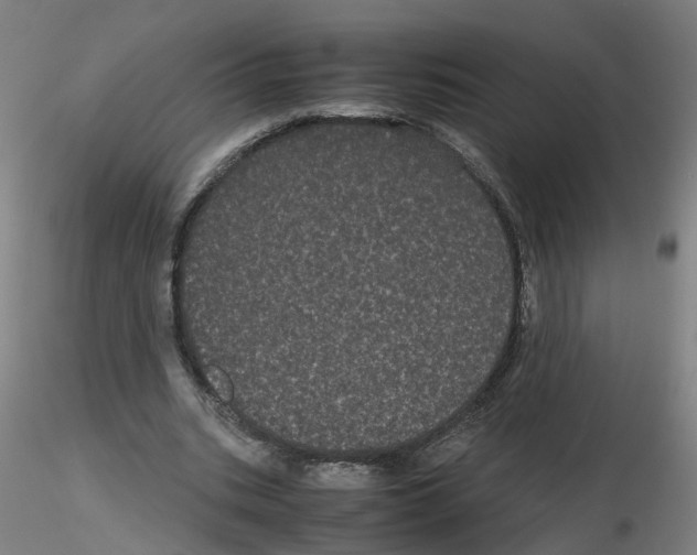 X0000116120535201001040952