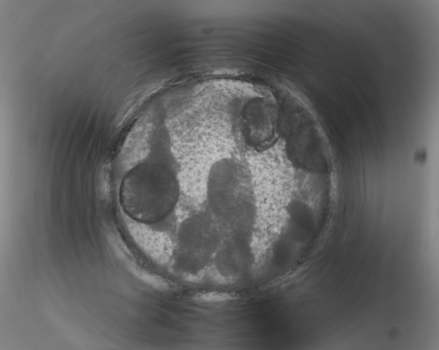 X0000116120537201001040952