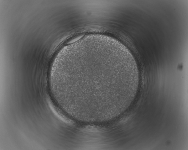 X0000116120538201001040952